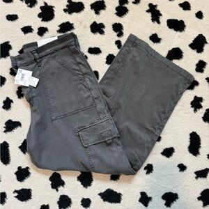 Women’s Gray Cargo Pants American Eagle Size 12 NWT